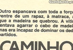 imagem_6
