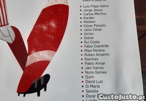 imagem_7