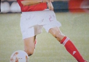 imagem_7