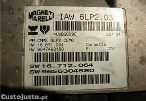 imagem_2