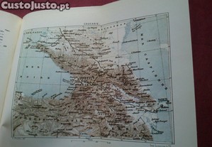 imagem_3