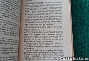 imagem_6