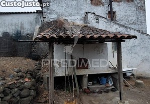 imagem_10