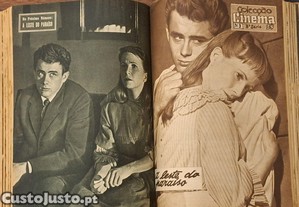 imagem_6