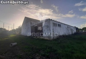 imagem_4