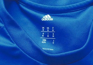 imagem_3