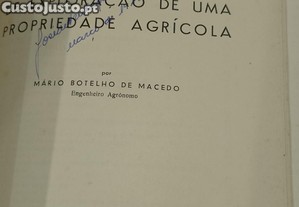 imagem_8