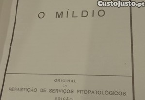 imagem_4