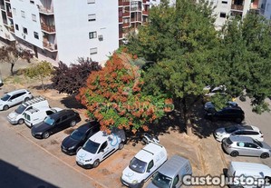 imagem_13