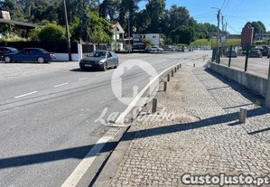 imagem_12