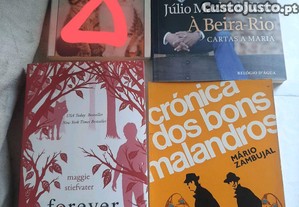 imagem_6