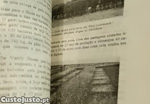 imagem_10