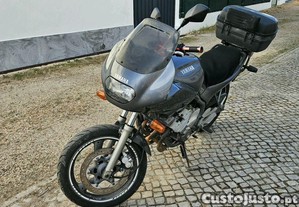 imagem_3