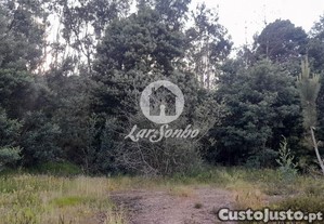imagem_28