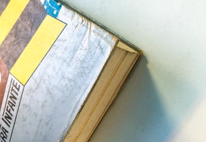 imagem_2