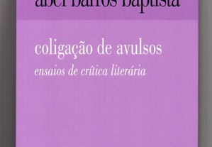 Crítica literária (Abel Barros Baptista)