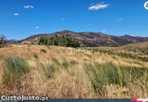Quinta Do Cachão - Refúgio Agrícola No Vale Do Tua