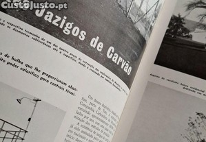imagem_8