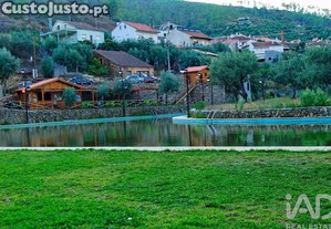 imagem_29