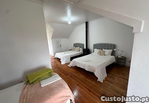 imagem_14