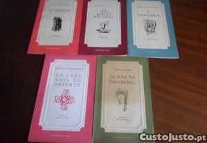 imagem_3