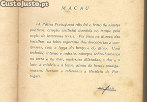 imagem_7