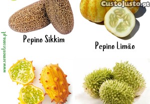 Pack/kit 4 Variedades Ex�ticas - Pepinos (Sementes)