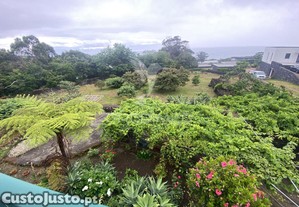 imagem_31