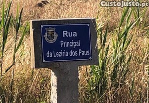 imagem_12