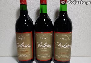imagem_3
