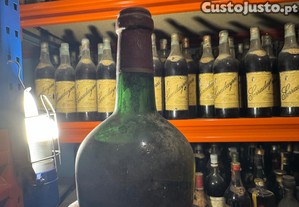 imagem_4
