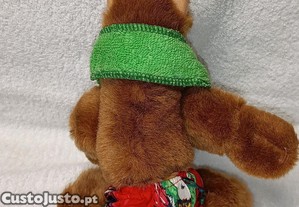 imagem_5