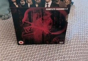 Criminal Minds Mentes Criminosas DVD