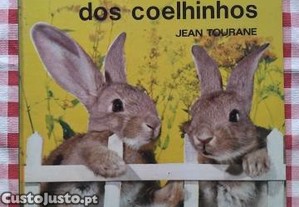 imagem_1
