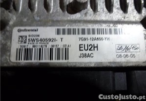 imagem_2