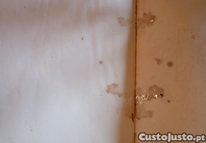 imagem_7