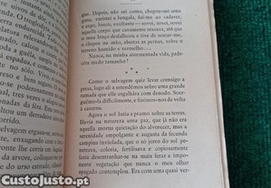 imagem_6