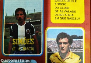 imagem_1