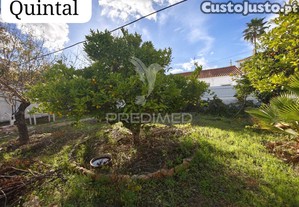 imagem_15