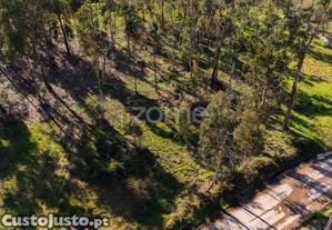 Terreno Com 4380M2 A 10 Minutos Do Centro De Braga
