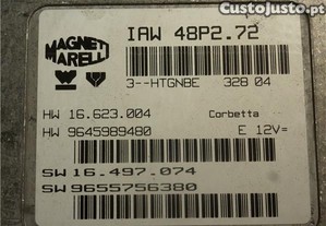imagem_3
