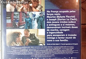 imagem_2