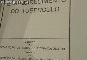imagem_7