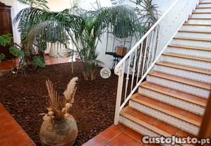imagem_11