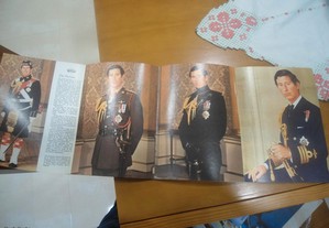 imagem_4