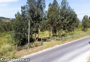 imagem_10