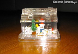 imagem_2