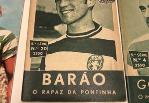 imagem_7
