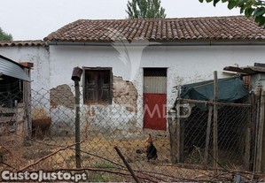 imagem_15