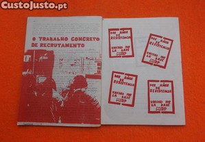 imagem_7